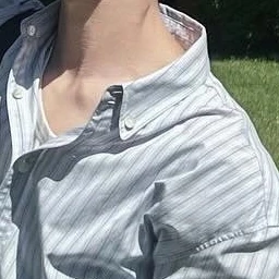 이섟민