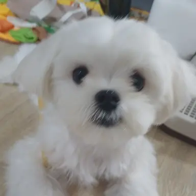 Profile image of 최.범.규