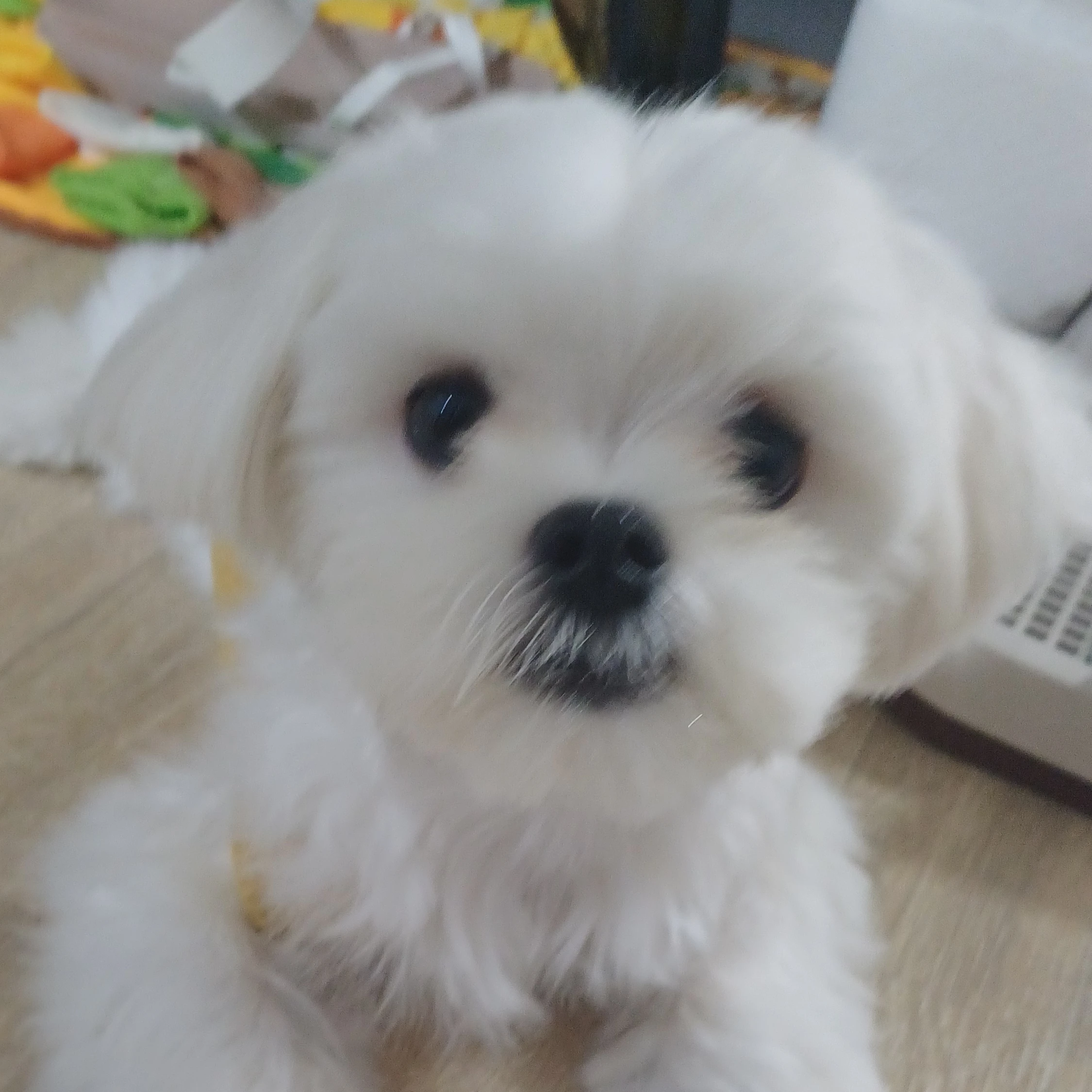 최.범.규