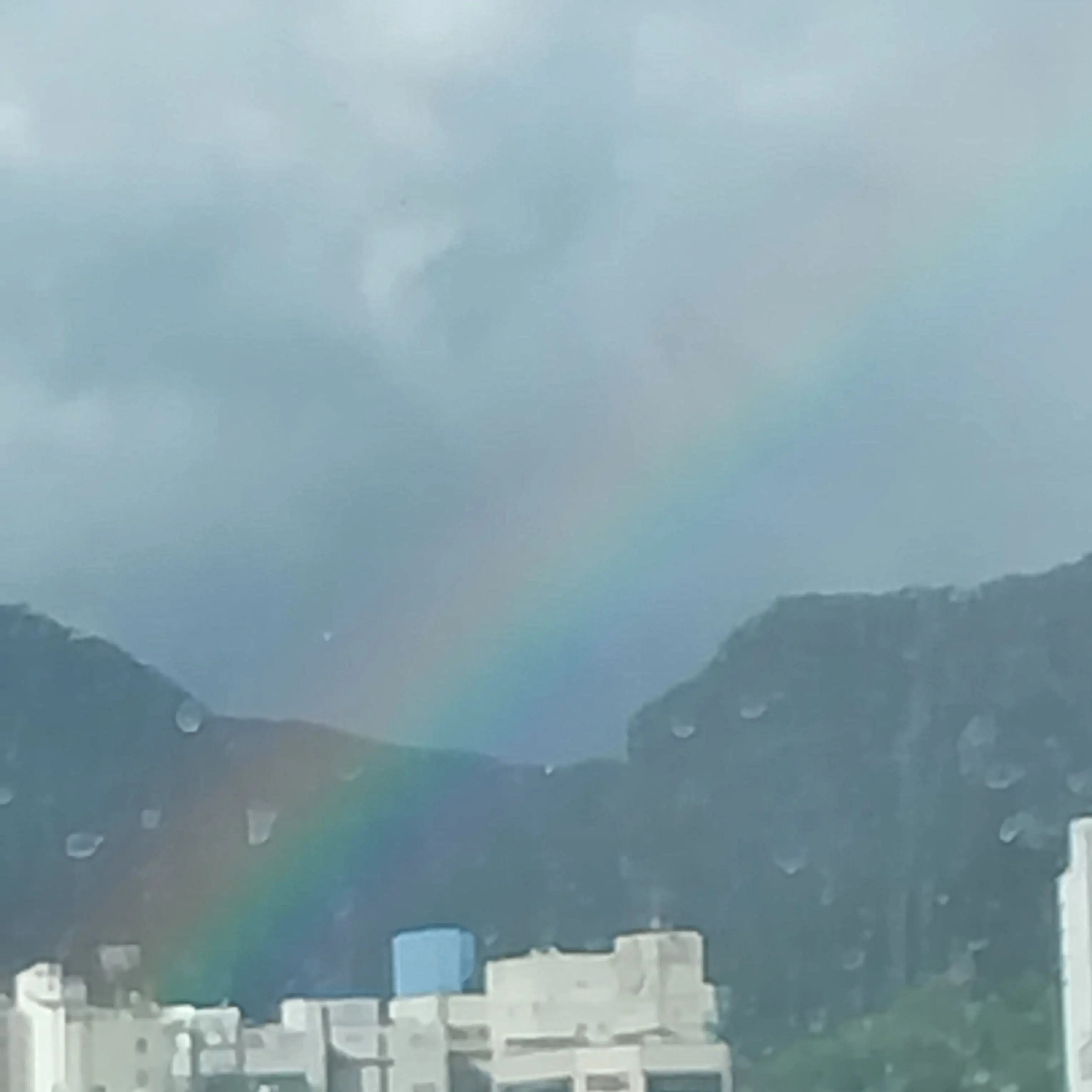 GreenCold8034의 김동글동글 여사님의 폭식원 / 조재원