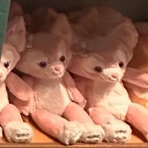 Profile image of アンシン