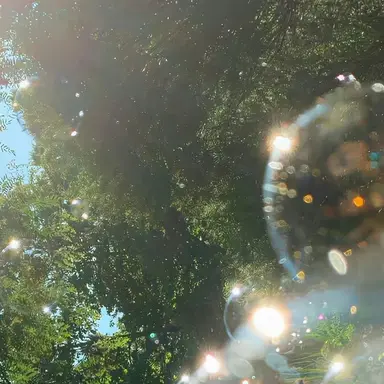 Profile image of 남예준