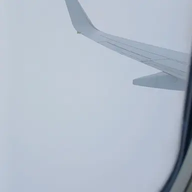 Profile image of 디투