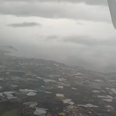 Profile image of 성희