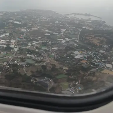 Profile image of 우디