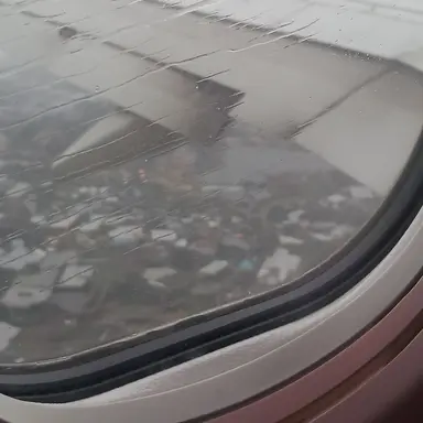 Profile image of 고탱