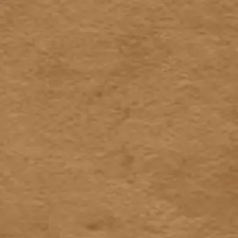 Profile image of 사토 신이치