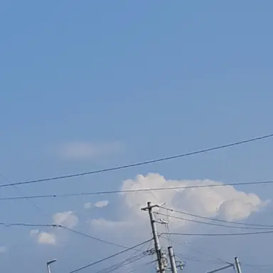 Profile image of ブルロメンバー