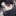 신 요한
