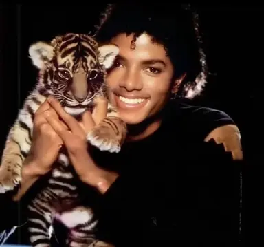 Profile image of Michael your baby