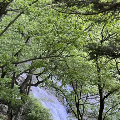 Profile image of 유니버스