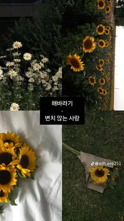 Profile image of 애쉬