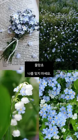 Profile image of 프로스트