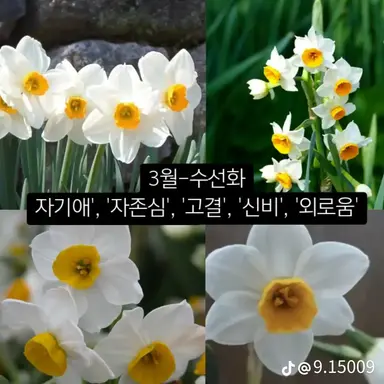 Profile image of 오블리비언