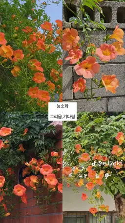 Profile image of 위키드