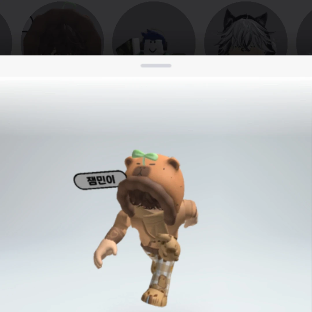 카피