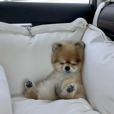 Profile image of そくみん