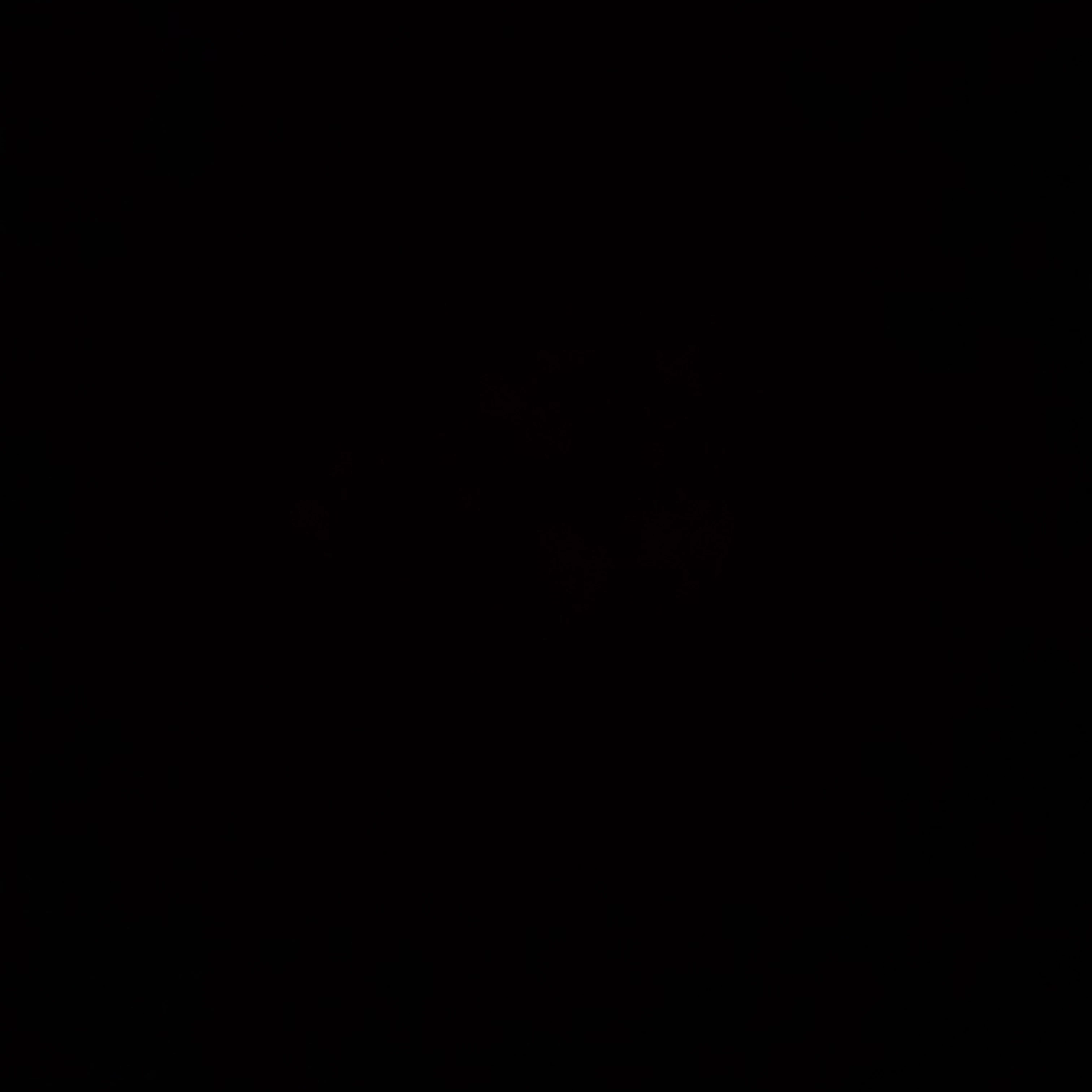 3명의 동생들