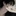 은호