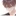 이구노아 시카