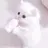 ミンス