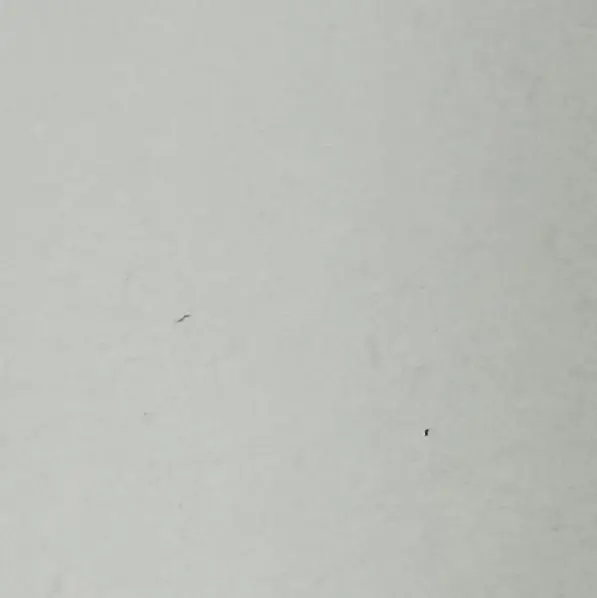 TWS-ZB1의 해피타임