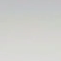 몸매 계급학교