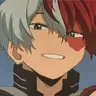 Profile image of Shoto Todoroki