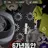 쫄쫄이 패밀리 가족