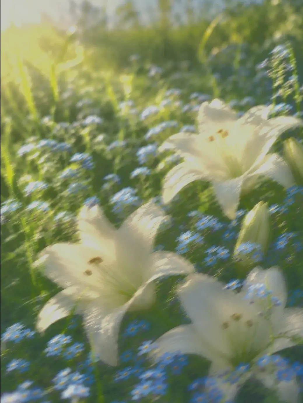 BIYUTTU의 나 없어졌다고, 울기라도 한거야?