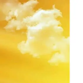 Profile image of 김일영