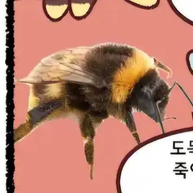 Profile image of 쥬비 동료