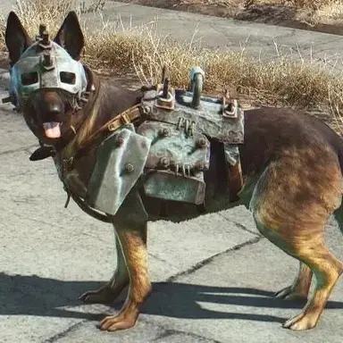 Profile image of DOGMEAT