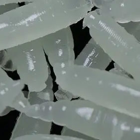 Erotically의 카미