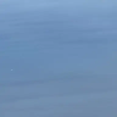 Profile image of 京本大我