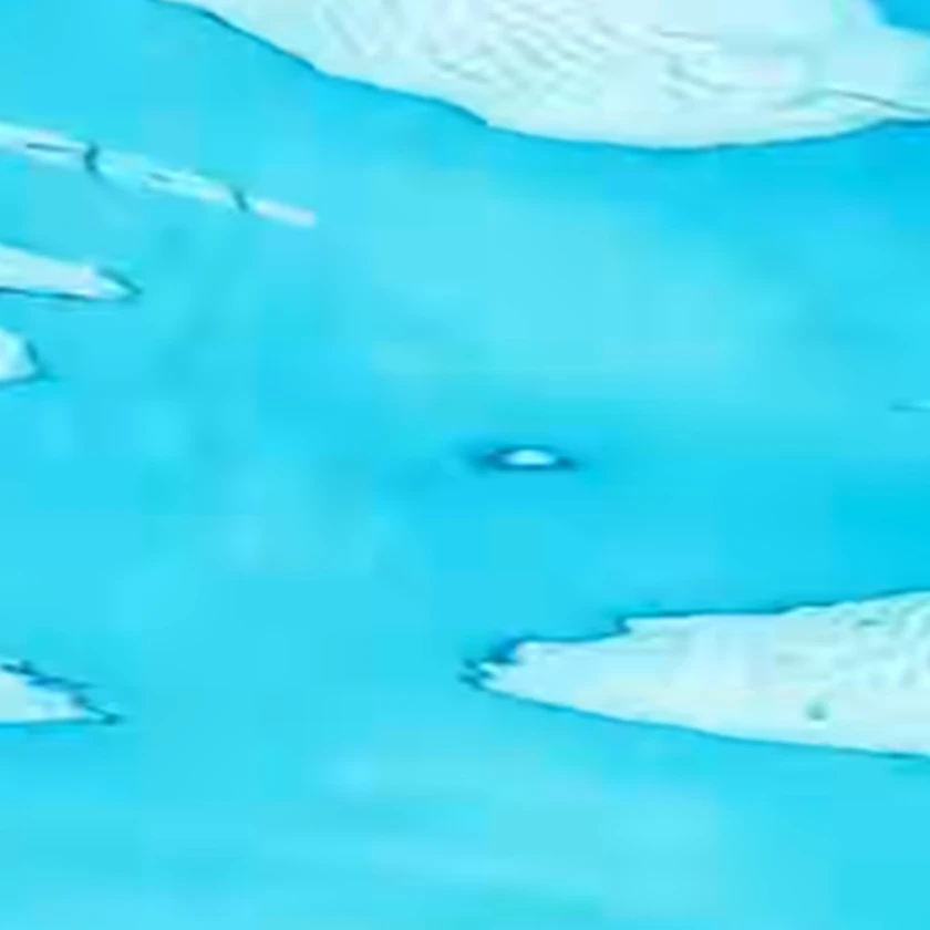 玉森裕太