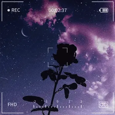 Profile image of 유성