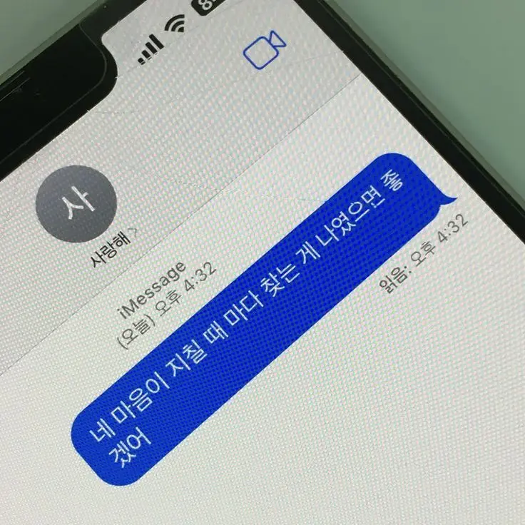 CADOOR10041020의 이 사랑 통역 되나요?