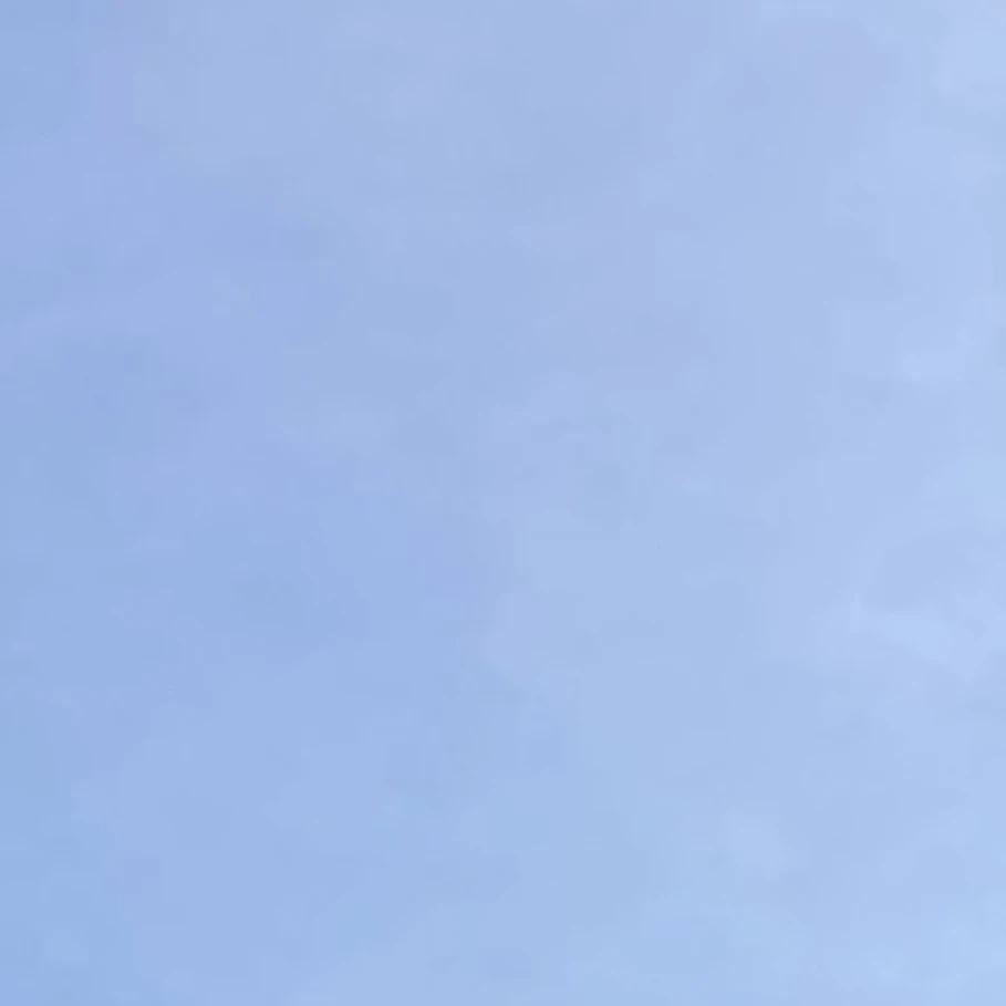 鳥井希