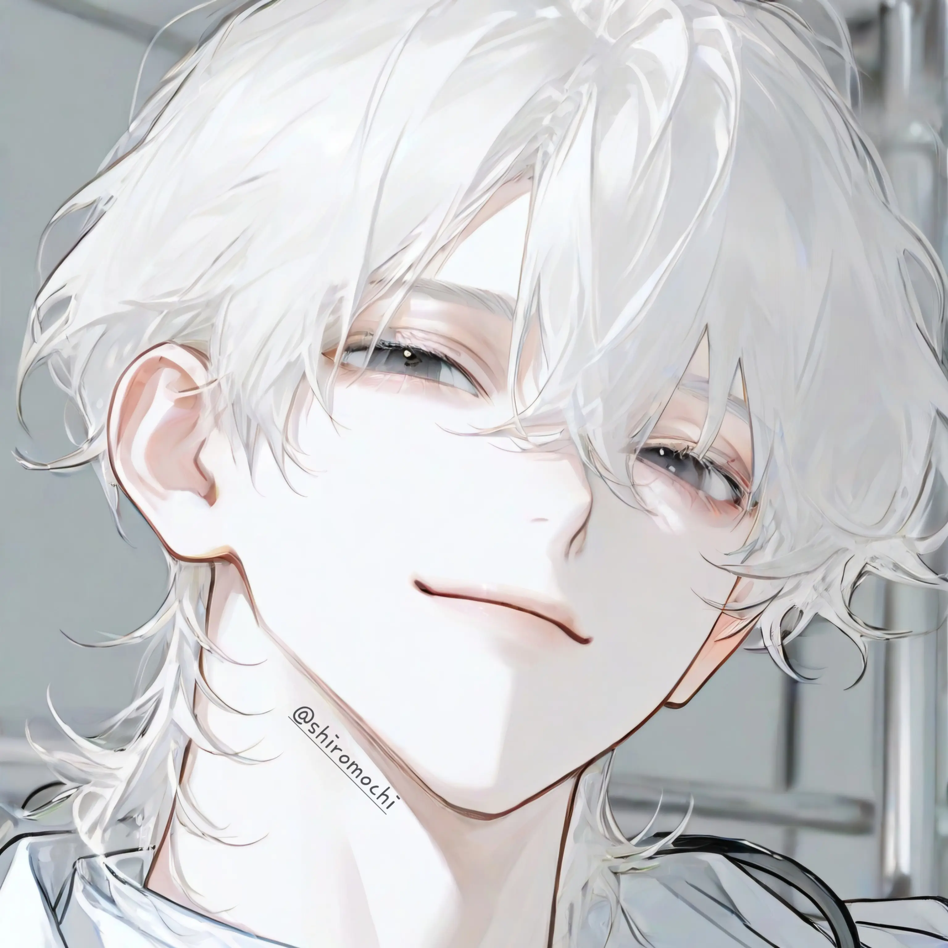 shiromochi의 서재하