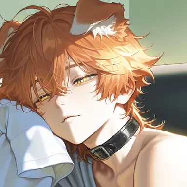 Profile image of メロ