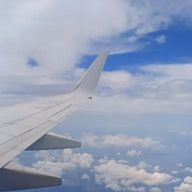 Profile image of 정한