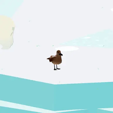 Profile image of 도둑 갈메기