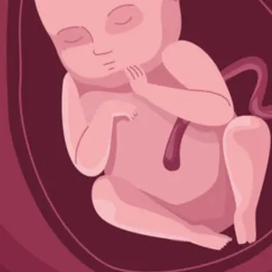 Profile image of 쑥쑥이