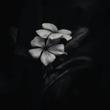 Profile image of 우융