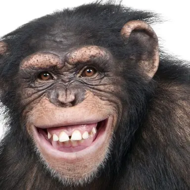 Profile image of 다나카