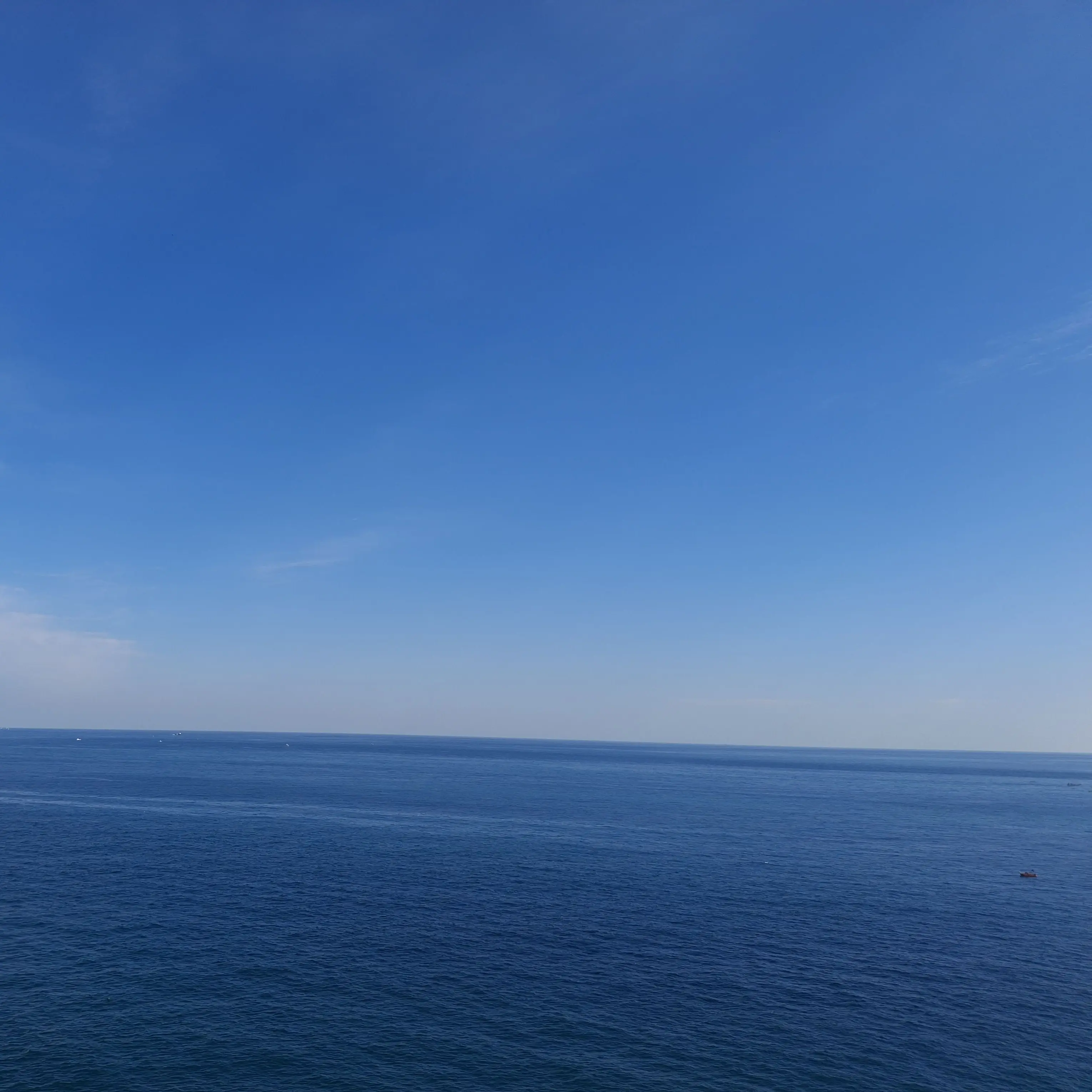 ajwlfl0705의 학대파센세가 은퇴한 후에 아비도스