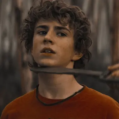 Profile image of Percy