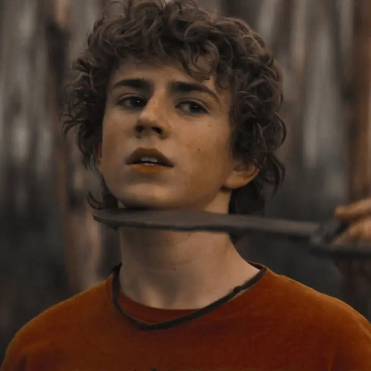 Perseus_1492의 Percy Jackson