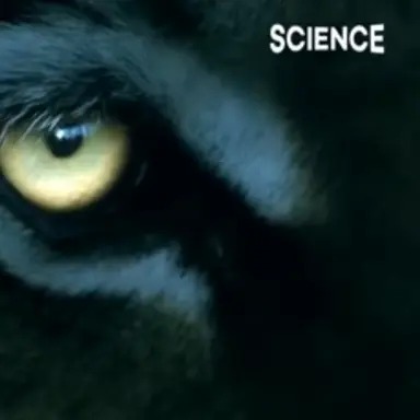 Profile image of 집사